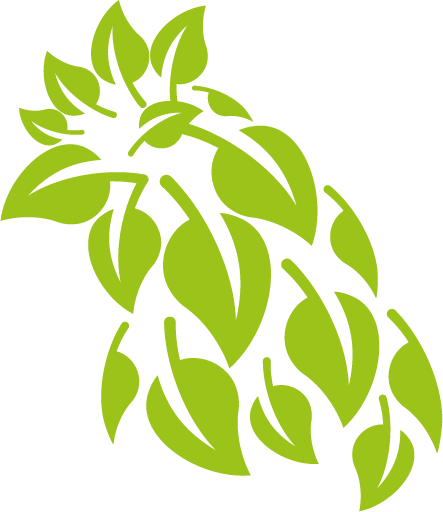 Cabeza de pollo formada por hojas de Quillaja