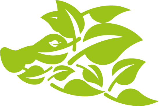 Cabeza de cerdo formada por hojas de Quillaja