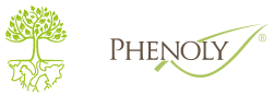 marca Phenoly